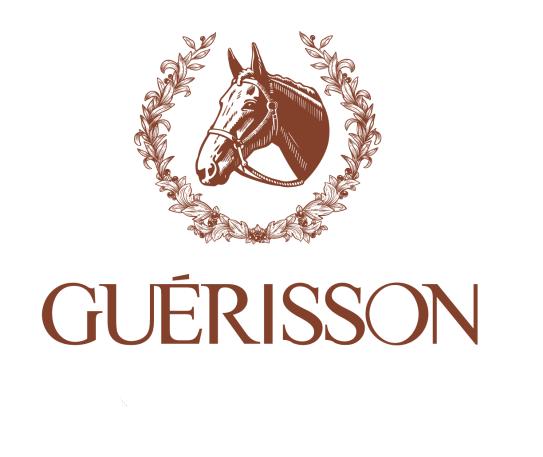 Guerisson